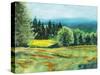 Pocket Meadow-Sue Schlabach-Stretched Canvas