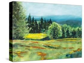 Pocket Meadow-Sue Schlabach-Stretched Canvas