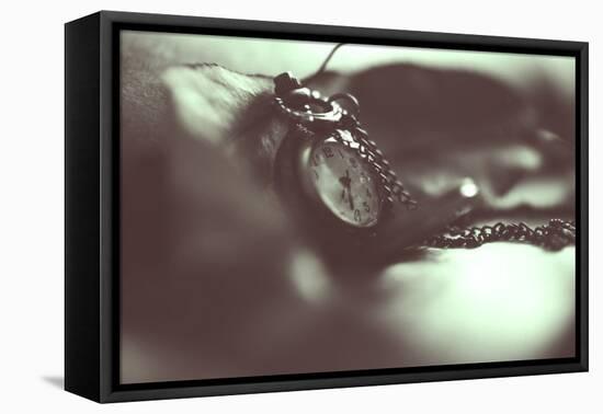 Pocket Watch-Carolina Hernandez-Framed Stretched Canvas