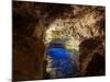 Poco Encantado Cave and Clear Water in Chapada Diamantina, Brazil-Alex Saberi-Mounted Photographic Print