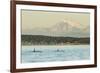 Pod of resident Orca Whales in Haro Strait near San Juan Island with Mt. Baker behind, Washington S-Stuart Westmorland-Framed Photographic Print