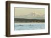 Pod of resident Orca Whales in Haro Strait near San Juan Island with Mt. Baker behind, Washington S-Stuart Westmorland-Framed Photographic Print