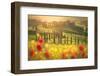 Podere Baccoleno, Asciano, Crete senesi, Tuscany, Italy-ClickAlps-Framed Photographic Print