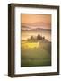 Podere Belvedere, San Quirico d'Orcia, Val d'Orcia, Tuscany, Italy-ClickAlps-Framed Photographic Print
