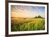 Podere Belvedere, San Quirico d'Orcia, Val d'Orcia, Tuscany, Italy-ClickAlps-Framed Photographic Print