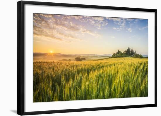 Podere Belvedere, San Quirico d'Orcia, Val d'Orcia, Tuscany, Italy-ClickAlps-Framed Photographic Print