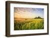 Podere Belvedere, San Quirico d'Orcia, Val d'Orcia, Tuscany, Italy-ClickAlps-Framed Photographic Print