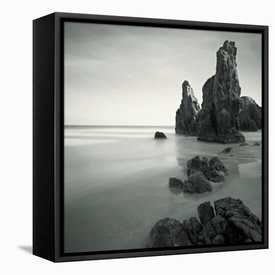 Podfly-David Baker-Framed Stretched Canvas