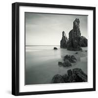 Podfly-David Baker-Framed Photographic Print