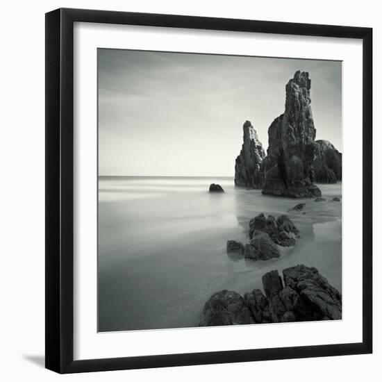 Podfly-David Baker-Framed Photographic Print