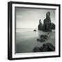 Podfly-David Baker-Framed Photographic Print