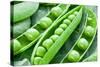 Pods of Green Peas on a Background of Leaves-Volff-Stretched Canvas