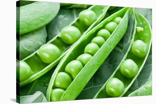 Pods of Green Peas on a Background of Leaves-Volff-Stretched Canvas