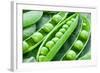 Pods of Green Peas on a Background of Leaves-Volff-Framed Photographic Print