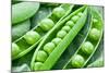 Pods of Green Peas on a Background of Leaves-Volff-Mounted Photographic Print