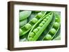 Pods of Green Peas on a Background of Leaves-Volff-Framed Photographic Print