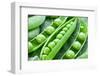 Pods of Green Peas on a Background of Leaves-Volff-Framed Photographic Print