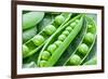 Pods of Green Peas on a Background of Leaves-Volff-Framed Photographic Print