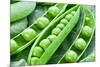 Pods of Green Peas on a Background of Leaves-Volff-Mounted Photographic Print