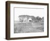 Poe Cottage in 1900-null-Framed Photographic Print