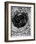 Poe, Descent, Maelstrom-Harry Clarke-Framed Photographic Print