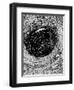 Poe, Descent, Maelstrom-Harry Clarke-Framed Photographic Print