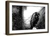 Poe: The Raven, 1845-Edmund Dulac-Framed Giclee Print