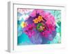 Poeny Blossom in Water with Other Flaowers-Alaya Gadeh-Framed Photographic Print