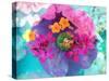 Poeny Blossom in Water with Other Flaowers-Alaya Gadeh-Stretched Canvas