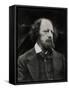Poet Alfred Tennyson-Julia Margaret Cameron-Framed Stretched Canvas