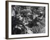 Poet Ezra Pound with Lover Olga Rudge, Chatting in Lounge Chairs Next to Breakfast Food in Garden-David Lees-Framed Premium Photographic Print