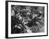 Poet Ezra Pound with Lover Olga Rudge, Chatting in Lounge Chairs Next to Breakfast Food in Garden-David Lees-Framed Premium Photographic Print