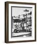 Poet Rod McKuen Swinging from Sign Which is Title of One His Songs, Stanyan Street-Ralph Crane-Framed Photographic Print