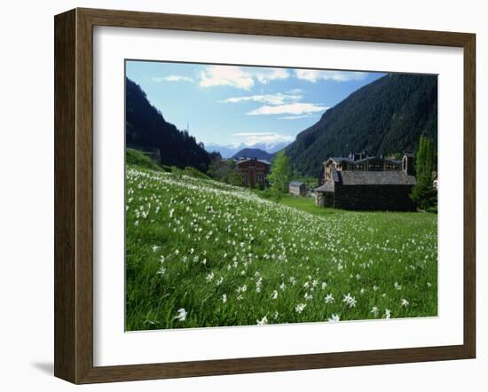 Poet's Narcissus and Tiny Old Church Above Arinsal Village, Arinsal, Andorra, Pyrenees-Pearl Bucknall-Framed Photographic Print