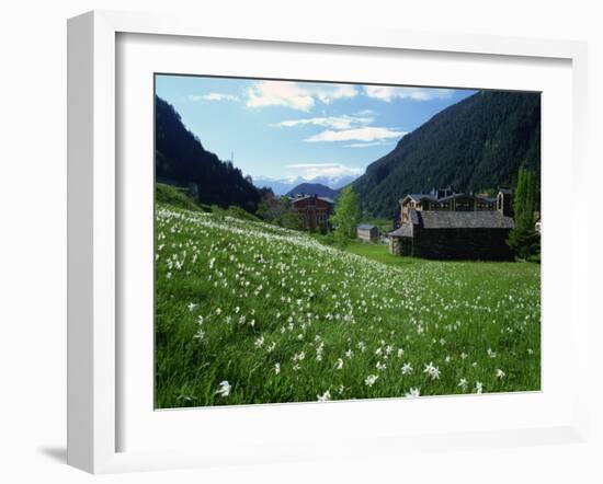 Poet's Narcissus and Tiny Old Church Above Arinsal Village, Arinsal, Andorra, Pyrenees-Pearl Bucknall-Framed Photographic Print