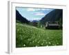 Poet's Narcissus and Tiny Old Church Above Arinsal Village, Arinsal, Andorra, Pyrenees-Pearl Bucknall-Framed Photographic Print