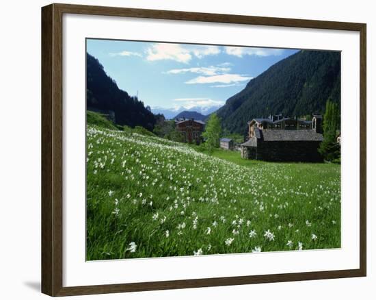 Poet's Narcissus and Tiny Old Church Above Arinsal Village, Arinsal, Andorra, Pyrenees-Pearl Bucknall-Framed Photographic Print