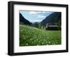 Poet's Narcissus and Tiny Old Church Above Arinsal Village, Arinsal, Andorra, Pyrenees-Pearl Bucknall-Framed Photographic Print