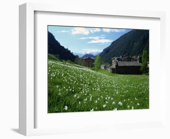 Poet's Narcissus and Tiny Old Church Above Arinsal Village, Arinsal, Andorra, Pyrenees-Pearl Bucknall-Framed Photographic Print