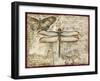 Poetic Dragonfly II-Chariklia Zarris-Framed Art Print