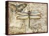 Poetic Dragonfly II-Chariklia Zarris-Stretched Canvas