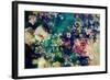 Poetic Flowers in Water-Alaya Gadeh-Framed Photographic Print