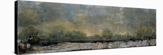 Poetic Landscape-Liz Jardine-Stretched Canvas