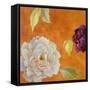 Poetic Peonies II-Lanie Loreth-Framed Stretched Canvas