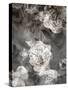 Poetic Photographic Layer Work Fromroses and Seashells in Monotone Colours-Alaya Gadeh-Stretched Canvas