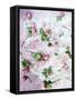 Poetic Photomontage of Pink Roses on Painted Ground with Textures of Floral Ornaments-Alaya Gadeh-Framed Stretched Canvas