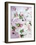 Poetic Photomontage of Pink Roses on Painted Ground with Textures of Floral Ornaments-Alaya Gadeh-Framed Photographic Print