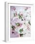 Poetic Photomontage of Pink Roses on Painted Ground with Textures of Floral Ornaments-Alaya Gadeh-Framed Photographic Print