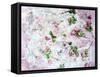 Poetic Photomontage of Pink Roses on Painted Ground with Textures of Floral Ornaments-Alaya Gadeh-Framed Stretched Canvas