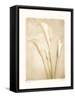 Poetica II-Amy Melious-Framed Stretched Canvas